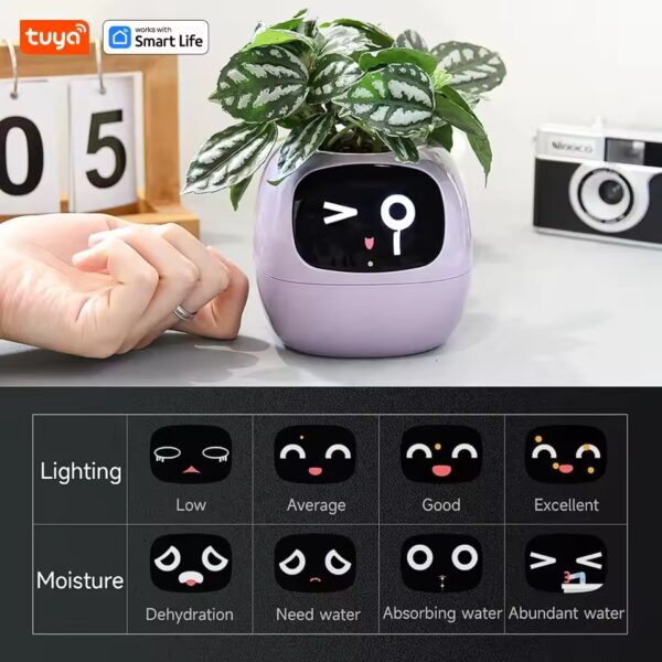 Tuya Ivy Smart Planter,Endless Fun Over 49 Rich Expressions 7 smart sensors,AI Chips Make Raising Plants Easy and Fun - Image 4